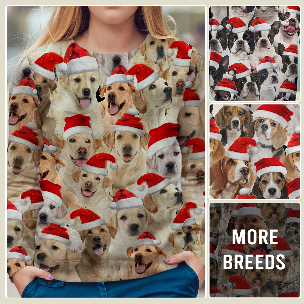 Dog Merry Christmas Ugly Premium Sweatshirt